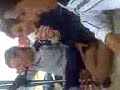 CaMpEgGiO 2oO8 FiUmE SaNtO
