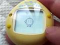 Not Tamagotchi But piyokko...lol!!! たまごっち、じゃなくて「ぴよっこ」