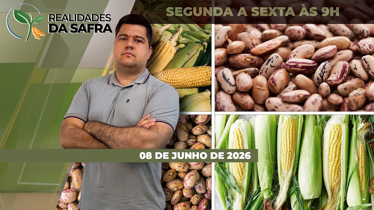 Colheita do milho avança com bons resultados no Mato Grosso