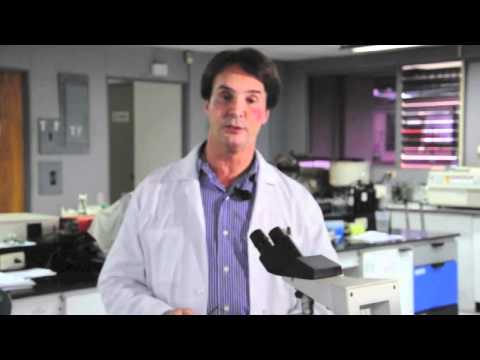 JeunesseMundial - Dr. Vincent Giampapa speaks on exclusive Jenuesse