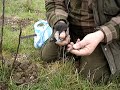 Fruitwise apple tree grafting, the saddle graft