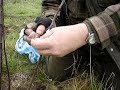 Fruitwise apple tree grafting, the saddle graft