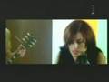 Briskeby-Cellophane Eyes