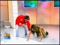 Sérgio Mallandro no Hoje em Dia parte 1/3 - Dança do Jumento