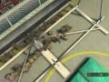 Game Flat Out Ragdoll