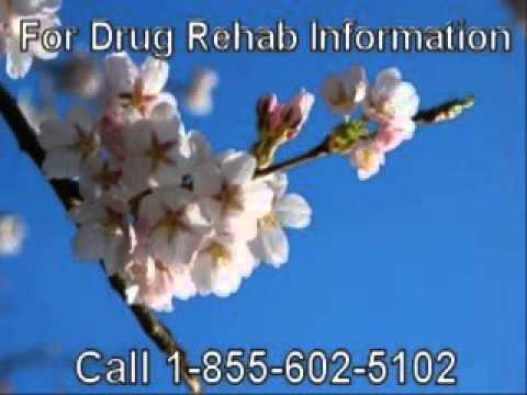 Wife Needs a Alcohol And Drug Rehab Centers Local to St Paul