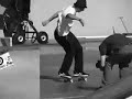 Etnies GVR 2006 goofy team Etnies GVR 2006 goofy team