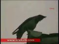 TANDA KEAJAIBAN ALLAH 1