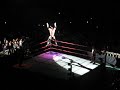 HHH and ugama entrance in japan budokan