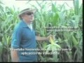 Desarrolla Brasil nuevas tecnologías para la producción de caña de azúcar transgénica