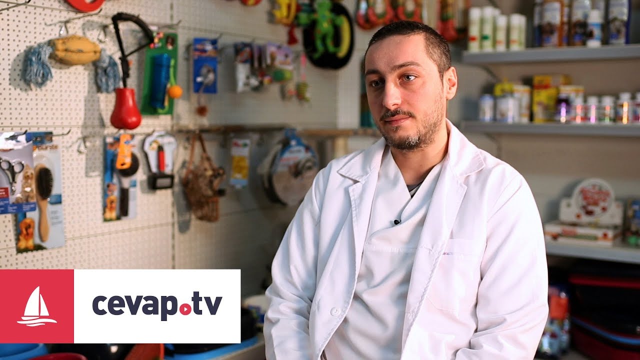 DİŞİ KEDİ VE KÖPEKLERDE KISIRLAŞTIRMA OPERASYONU NEDİR VE NASIL YAPILIR