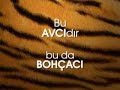 avc?-bohcaci