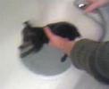 premier-bain-conny.html