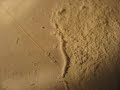 Cymatics - Cornstarch Rotating Tube Cymatics - Cornstarch Rotating Tube