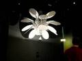 Morphology Chandelier