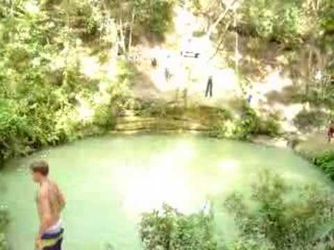 Gainesville is the largest city and county seat of Alachua County, Florida.