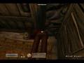Oblivion Physics Glitch or Dunmer and Doors