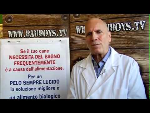Vedi il video