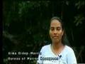 C3 Our Mangroves Our Future Video Pt1