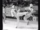 captin amr khairy taekwondo highlights