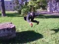 Kamik Free Run
