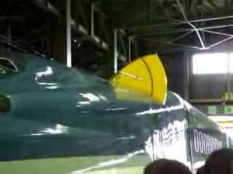 ミミ展開