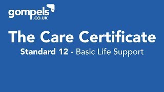 The Care Certificate Standard 12 Answers & Training - Basic Life Support