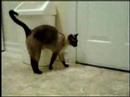 Zobacz film