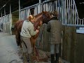 tonte nabuco