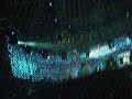 Hernan Cattaneo at Creamfields Vid 2