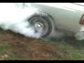 videos de borrachao.3gp
