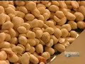 How It's Made: Nuts (Good Quality)