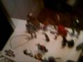 videos de stikfas consert i am elvis presely