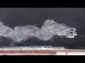 Firekites AUTUMN STORY - chalk animation video in HD