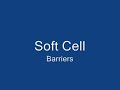 Barriers