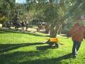 videos de matson plays at school