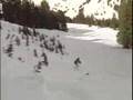 Grateful Shred 2007 - Flatland