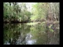 Florida River Cruise