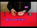 WOW! by Masuda / SEO MAGIC USA WOW! by Masuda / SEO MAGIC USA