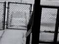 Sleet Storm