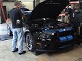 First 4.0L Whipple w/Super Cobra Jet Crusher Inlet ever on a GT500. Lethal Performance's 2010 GT500