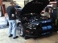 First 4.0L Whipple w/Super Cobra Jet Crusher Inlet ever on a GT500. Lethal Performance's 2010 GT500