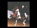 Saddlebred Stallion Monaco 08 Half-Arabian breeders version