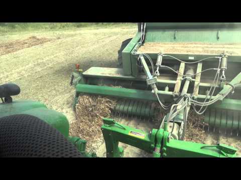 how to harvest peanuts