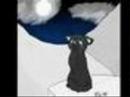 Warriors: Crowfeather - The Older I Get