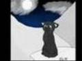 Warriors: Crowfeather - The Older I Get