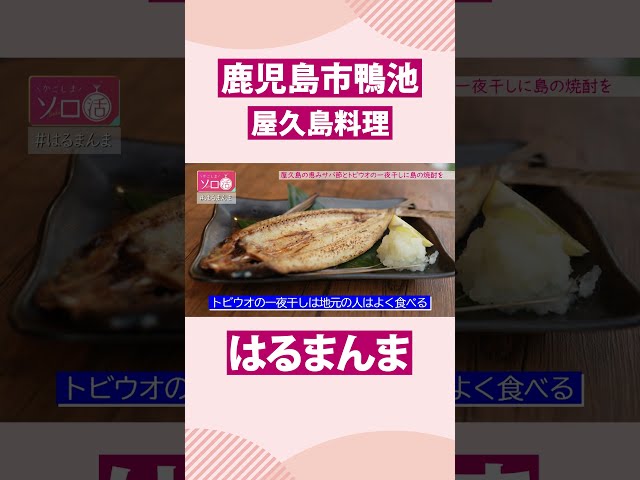 【鹿児島市鴨池】屋久島料理「はるまんま」