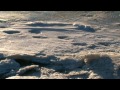 Winterimpressionen aus Dorum - Nationalpark Wattenmeer (Nordsee)