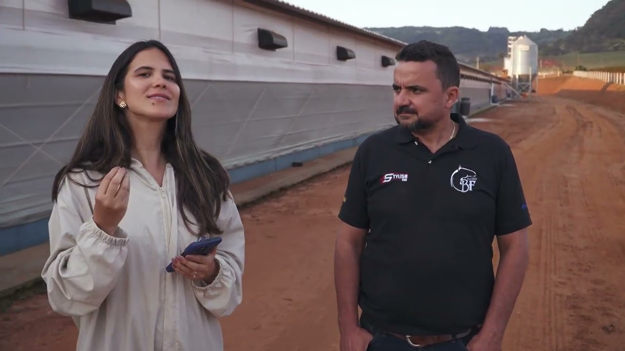 Biossegurança é essencial para garantir saúde e qualidade na produção de frangos | Interligados