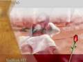 Onlar �nc�ler
